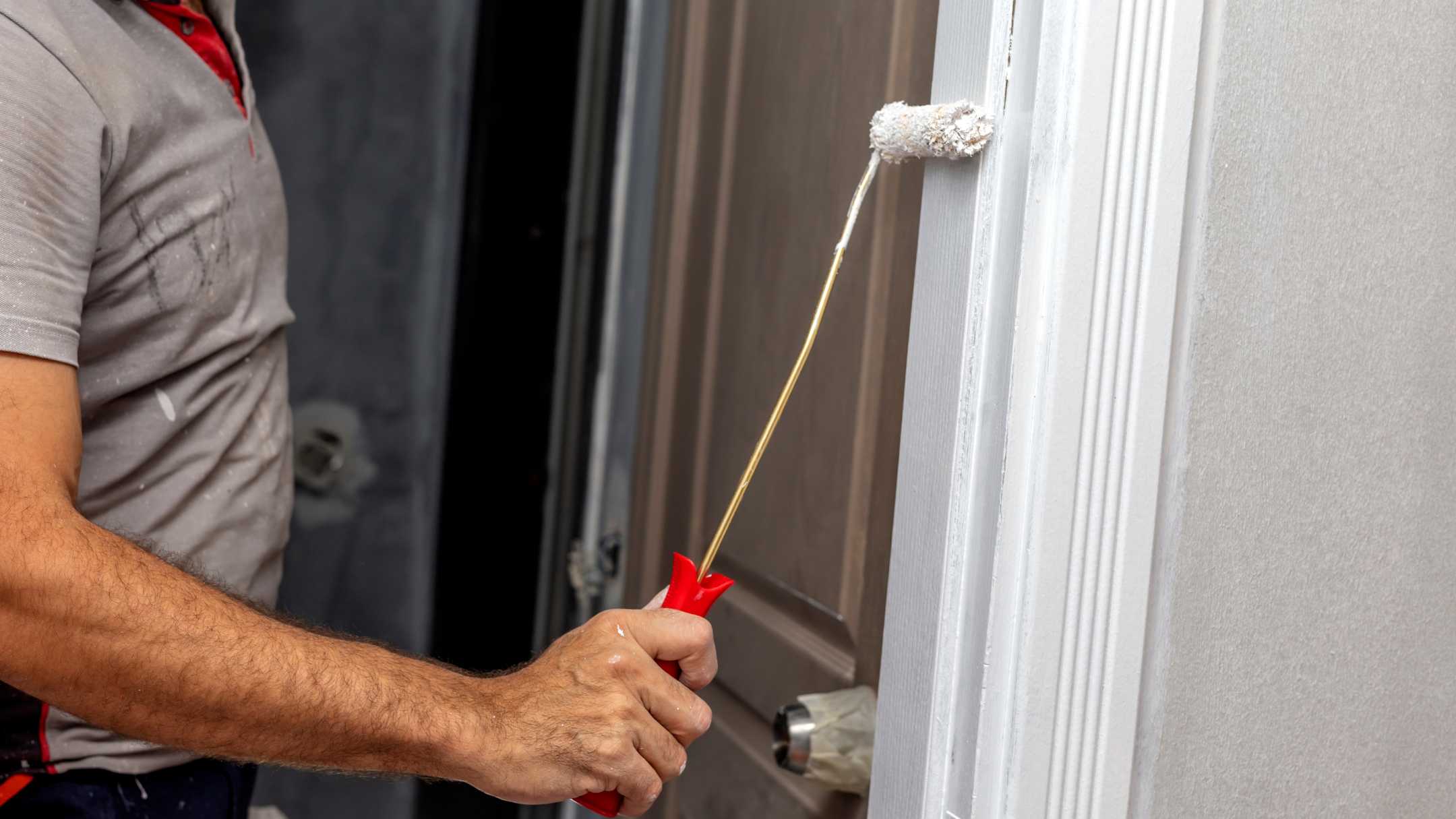 professional painting door